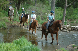 Horseback Riding Virginia