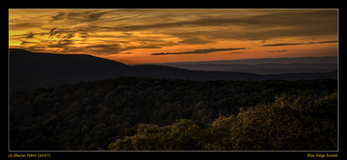 Skyline Drive During Fall