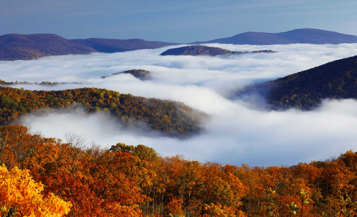 A low mist covers shenandoah mountains with fall colors.