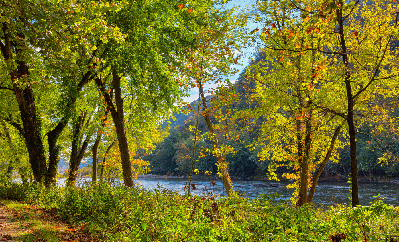 The river bank of shenandoah river with fall colors.