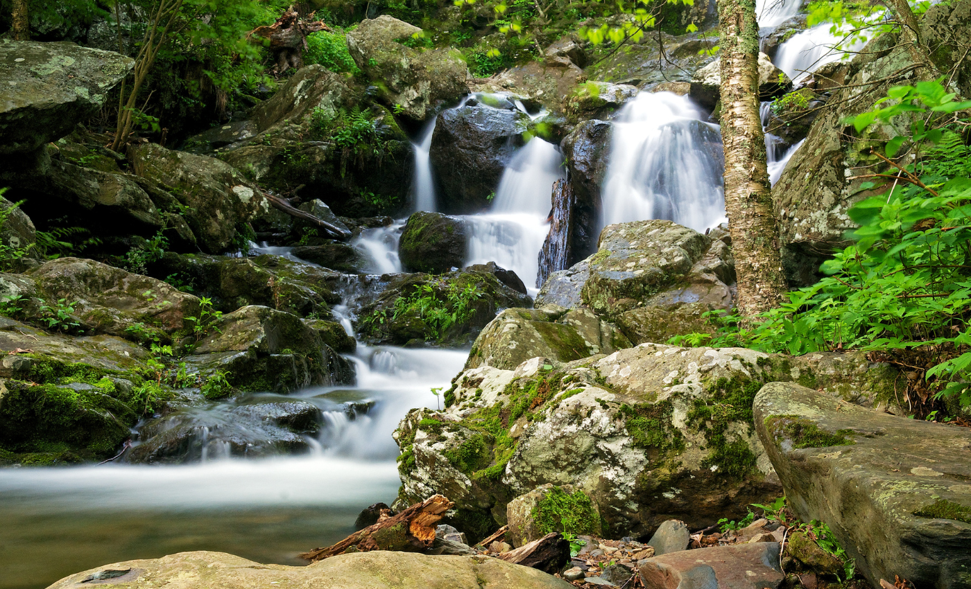 a cascading waterfall with green moss and trees on the banks