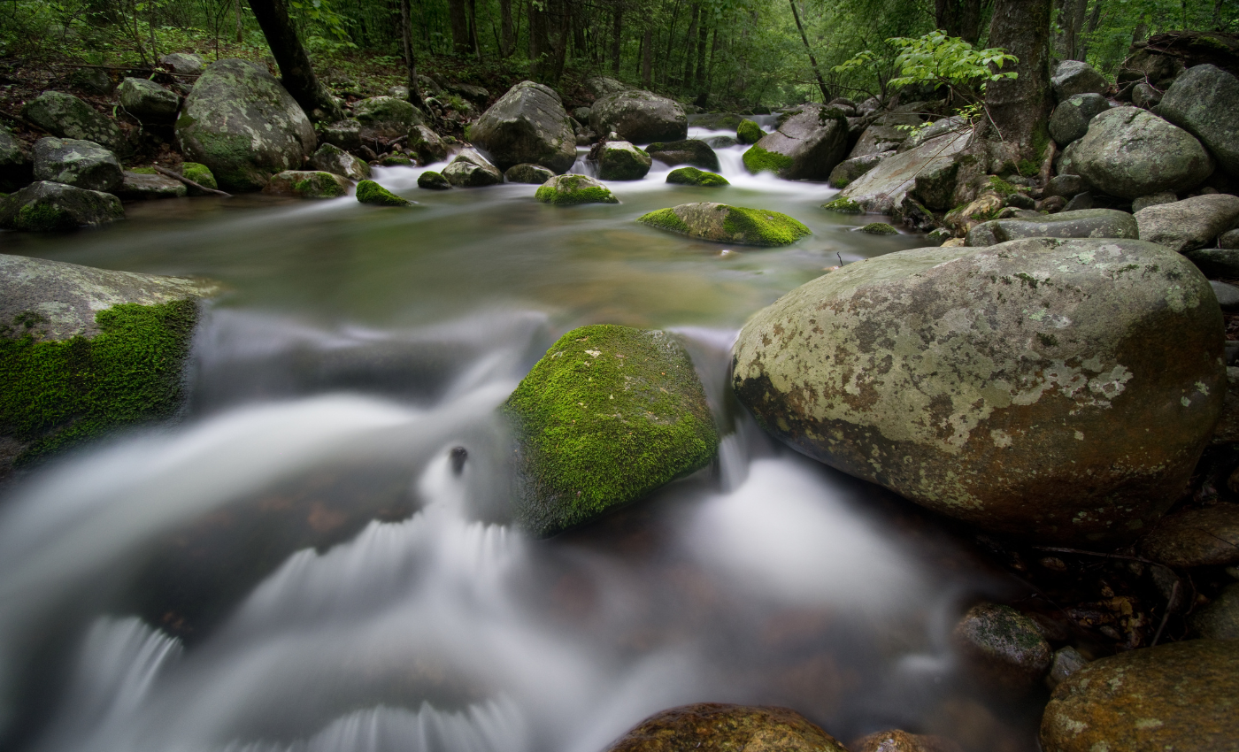 a creek with a pool and mossy rocks