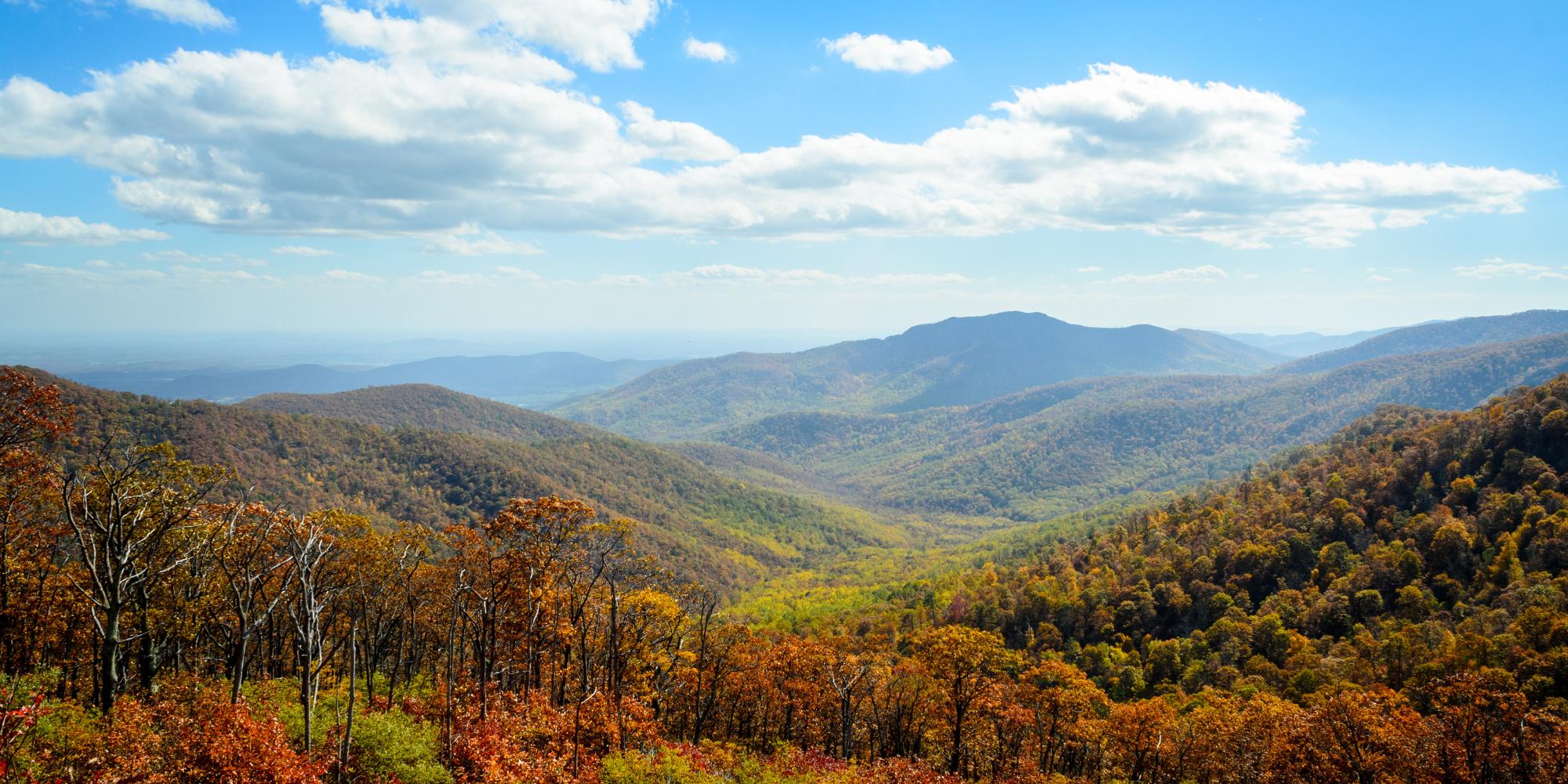 Things To Do Shenandoah National Park