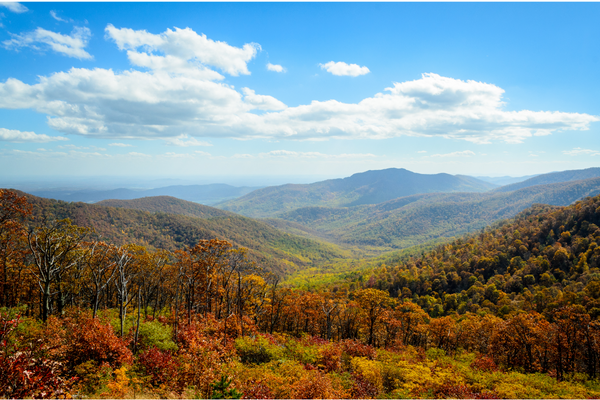 an aerial view of Shenandoah national park in the fall