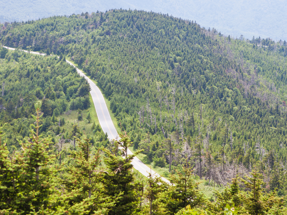 An aerial view of a road winding through Blue Ride Parkway in Asheville, North Carolina