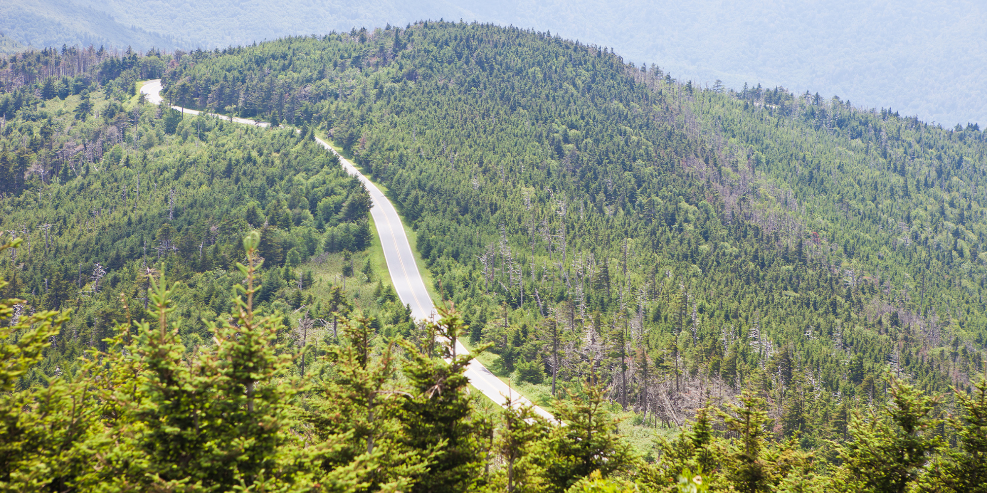 An aerial view of a road winding through Blue Ride Parkway in Asheville, North Carolina