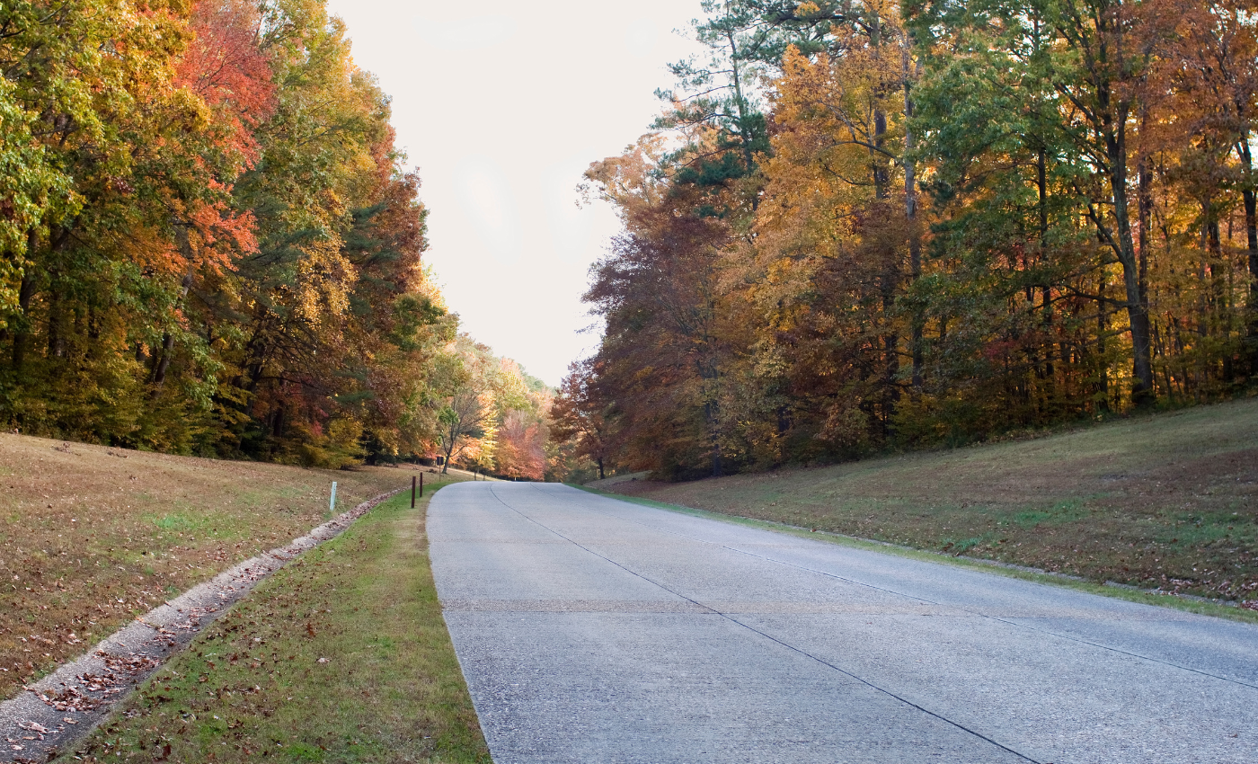 a road with trees along the edges in fall colors