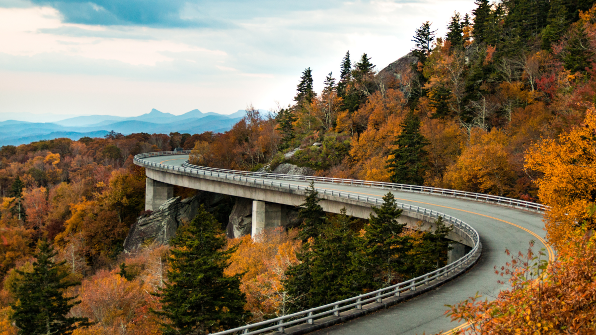 A view of Blue Ridge Parkway's winding road during fall