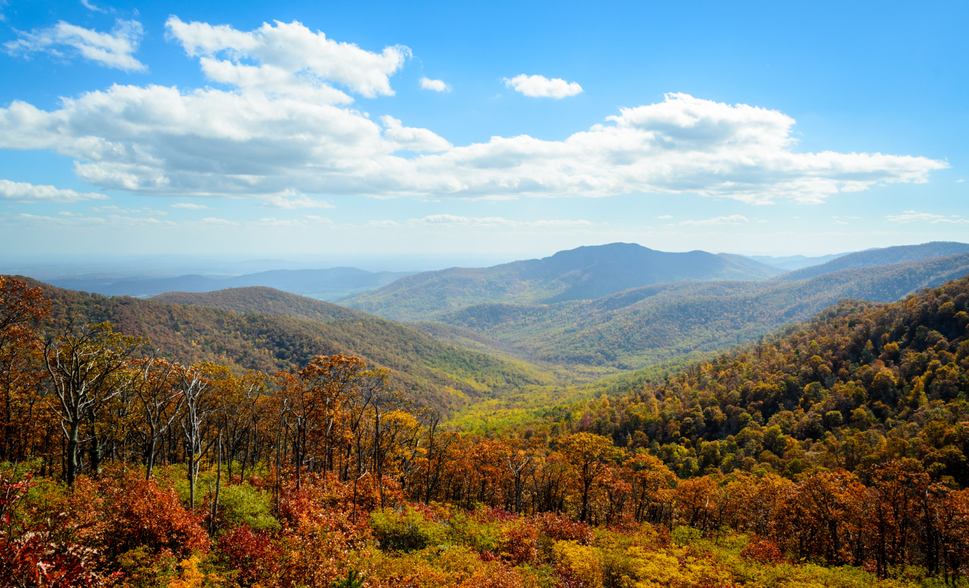 skyline drive in shenandoah national park during fall colors