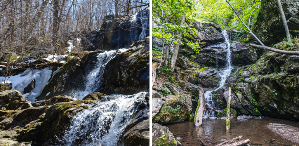 Two waterfalls in Shenandoah in Spring