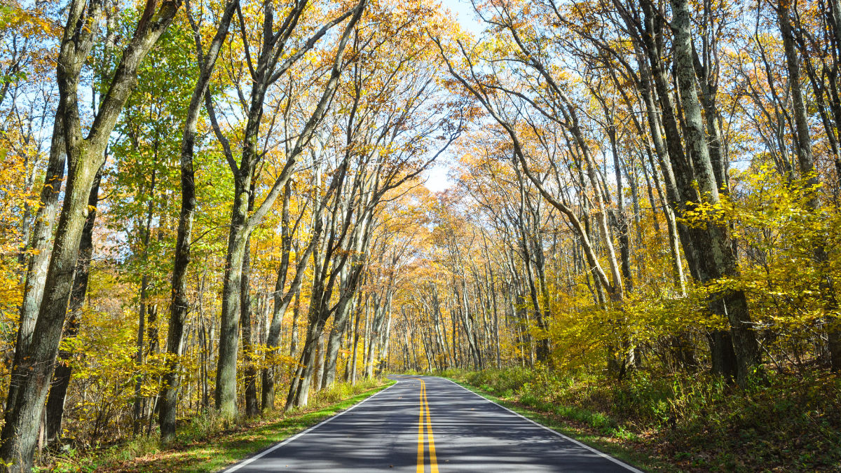 The Perfect Shenandoah National Park Itinerary - scenic drive