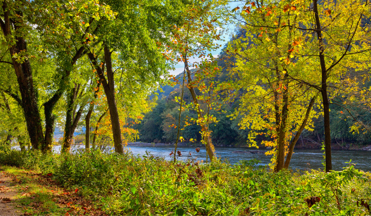 Scenic photo of Front Royal, VA