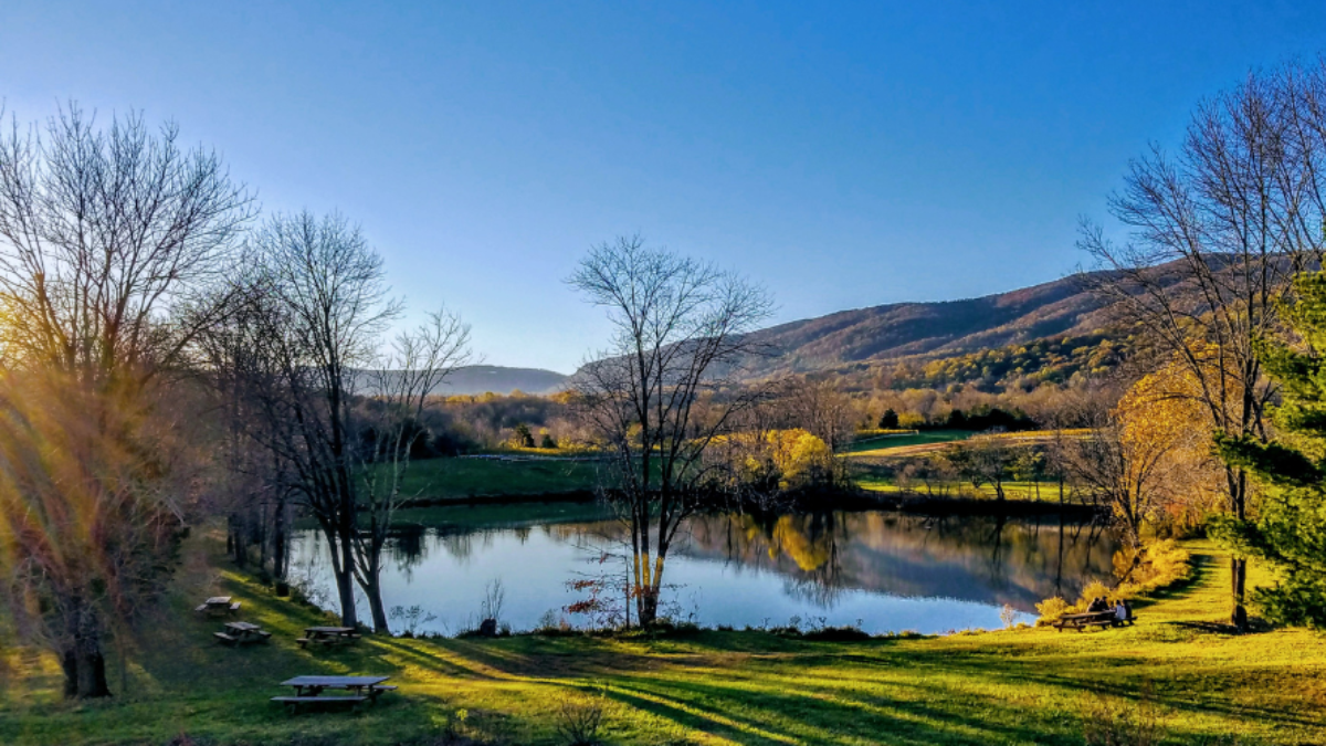 Scenic valley in charlottesville, VA