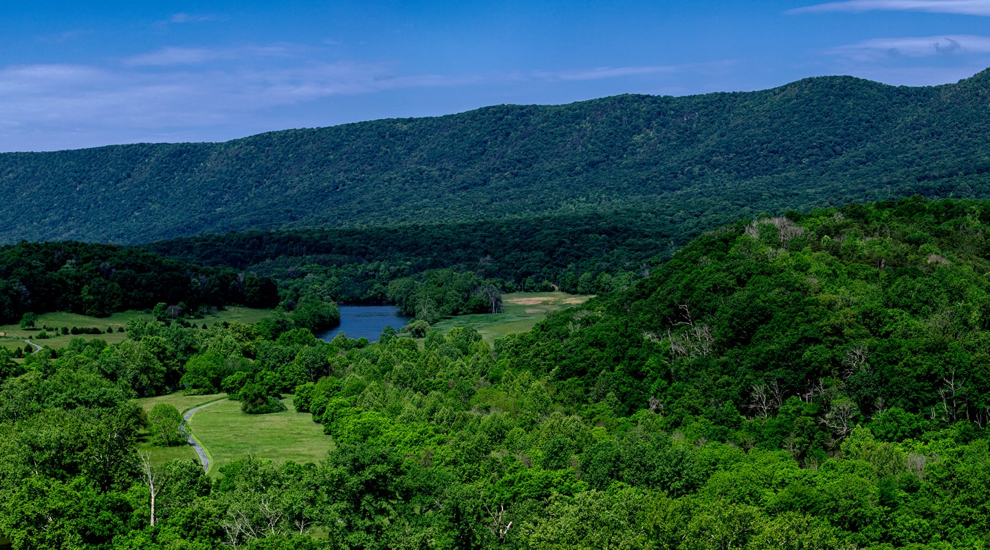 Shenandoah River trips