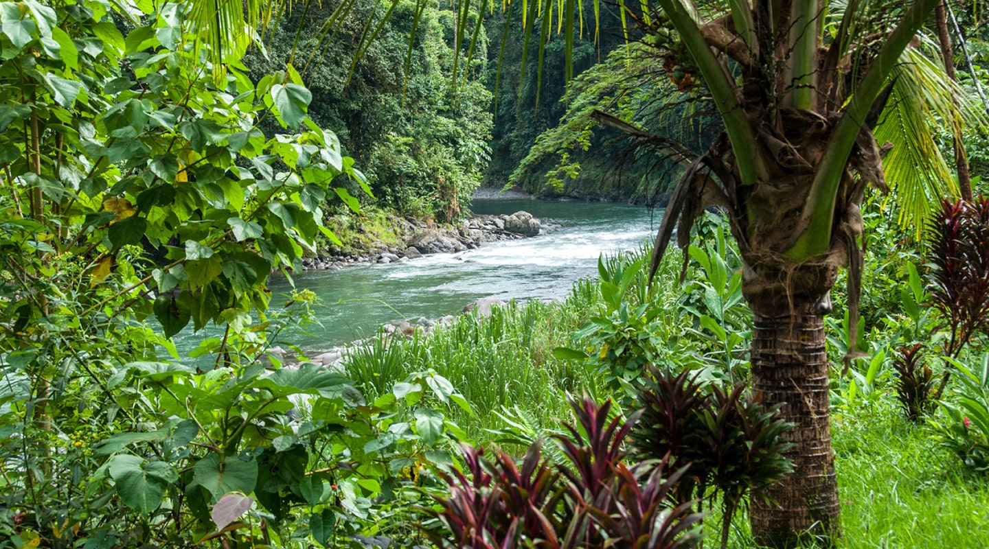 costa-rica-gallery-4-min