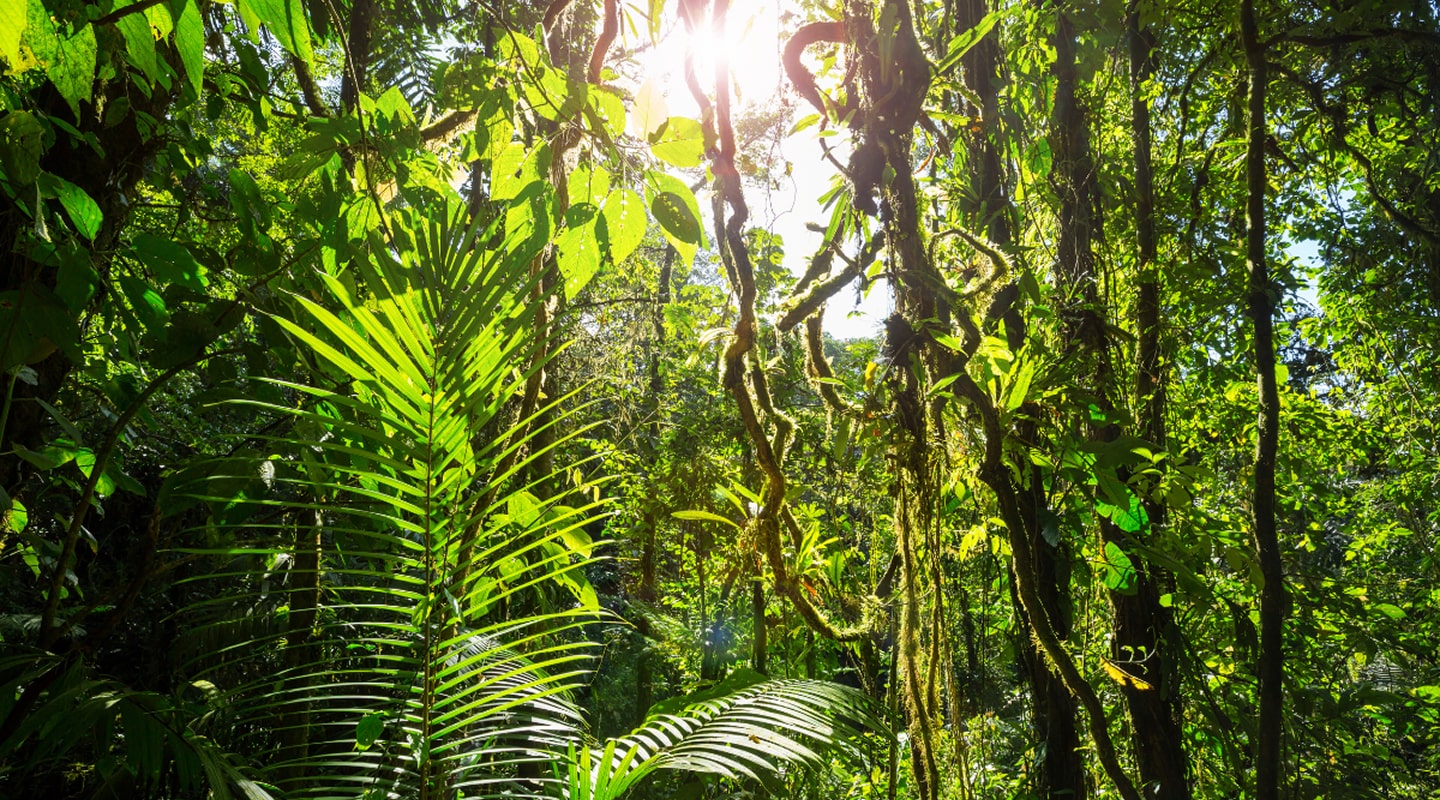 costa-rica-gallery-5-min