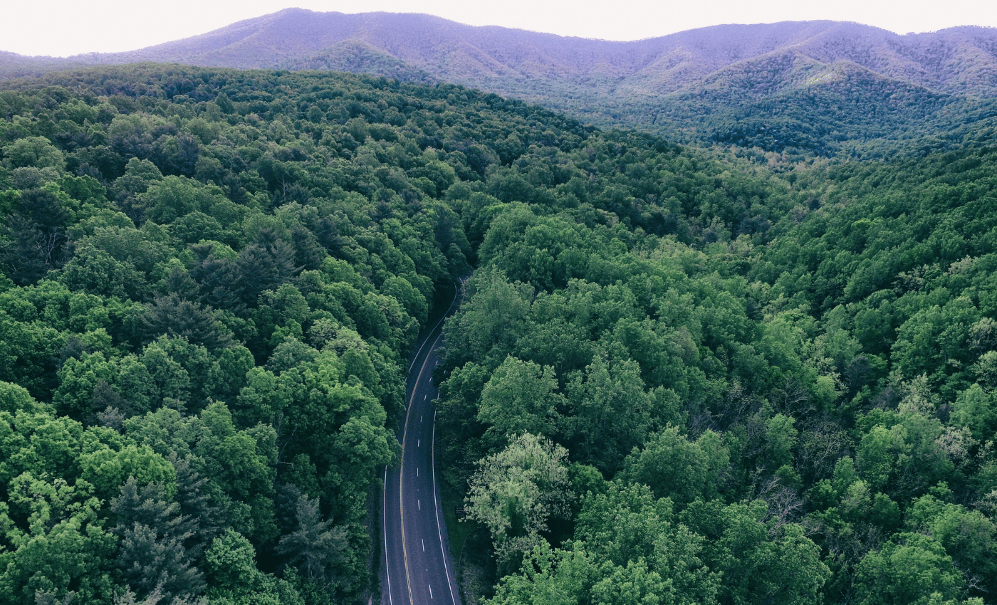 A road winding through the mountains of virginia.