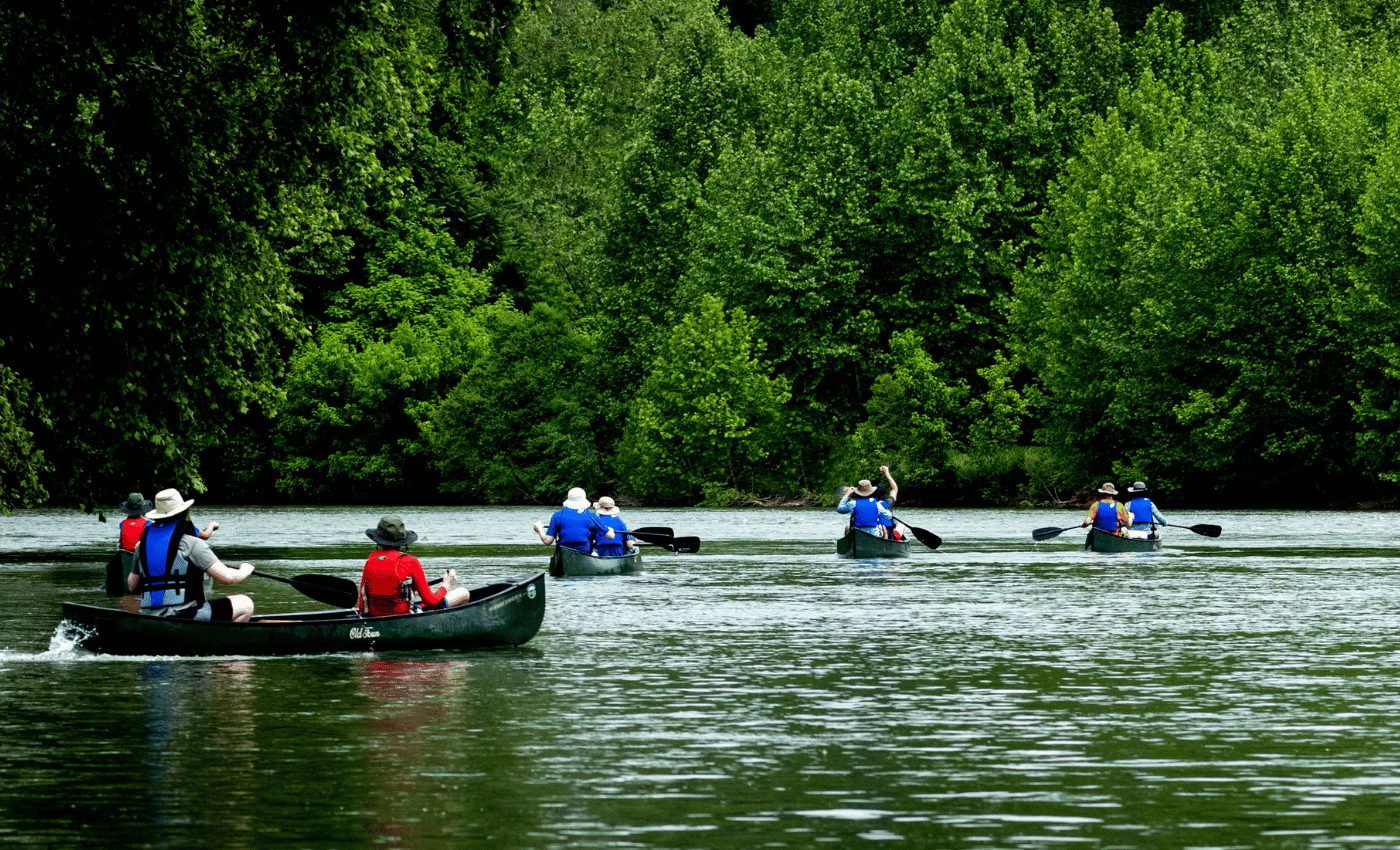 Several canoes floating on the shenandoah river with forest on sides.